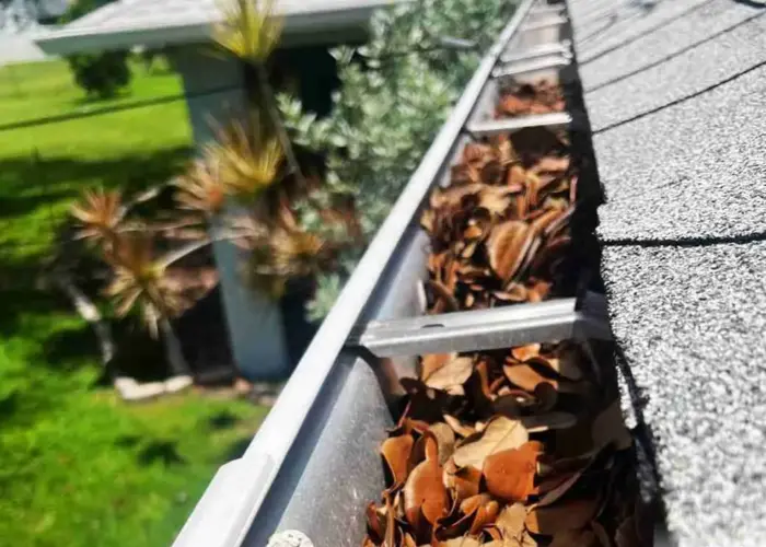 South Congaree gutter cleaning home page